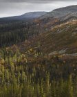 Erhöhter Blick auf Wald, Vastra Gotaland — Stockfoto