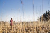 Mujer joven de pie en el campo a la luz del sol - foto de stock