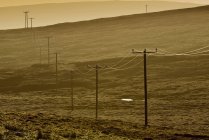 Power lines running trough field — Stock Photo