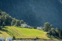 Scenic view of houses on hill, northern europe — Stock Photo