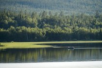 Bateau sur lac et forêt en arrière-plan — Photo de stock