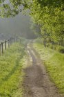 Wooden fence along country road at Europe — Stock Photo