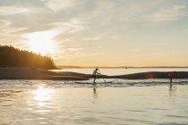 Men competing on paddle boards, selective focus — Stock Photo