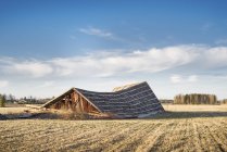 Grange abandonnée sur le terrain à la lumière du soleil, scène rurale — Photo de stock