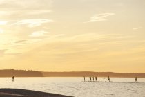 People paddleboarding on lake at sunset — Stock Photo