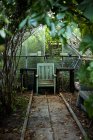 Wooden chair and tables in greenhouse, selective focus — Stock Photo