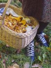 Femme avec panier de champignons chanterelle — Photo de stock