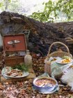 Picnic in forest at autumn, focus on foreground — Stock Photo