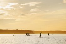 Homens competindo em paddleboards ao pôr do sol — Fotografia de Stock