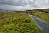 Scenic view of road in grassland, western europe — Stock Photo