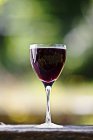 Закрыть черный смородиновый напиток в бокале вина — стоковое фото