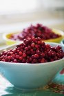 Close up shot Bowls with fresh cranberries on table — Stock Photo
