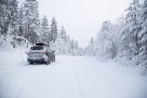 Vista posteriore della macchina nel bosco sulla neve — Foto stock