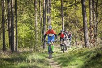 Зрелые люди едут на горных велосипедах через лес — стоковое фото