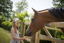 Girl feeding horse with carrot, focus on foreground — Stock Photo
