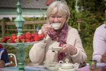 Woman having cup of tea and looking at camera — Stock Photo