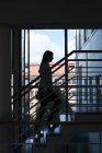 Силуэт женщины, идущей по университетской лестнице — стоковое фото