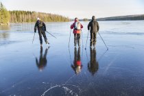 Rear view of mature men and woman ice skating on frozen lake — Stock Photo