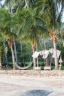 Hammock between palm trees near beach in Koh Tao, Thailand — Stock Photo