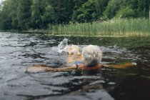 Donna anziana che nuota nel lago Kappemalgol, Svezia — Foto stock