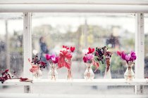 Blumen im Regal im Gewächshaus, selektiver Fokus — Stockfoto