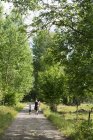 Family walking along rural road in Smaland, Sweden — Stock Photo
