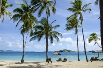 Espreguiçadeiras e guarda-sóis de praia sob palmeiras na Ilha Peter, no Caribe — Fotografia de Stock