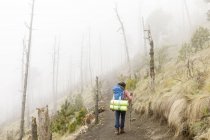 Вид сзади человека туристские горы в Гватемале — стоковое фото
