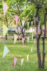 Bunting im Park für Geburtstagsparty, weicher Fokus Hintergrund — Stockfoto
