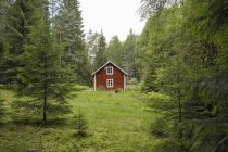 Vista panorâmica da cabana em bosques em Ostergotland, Suécia — Fotografia de Stock