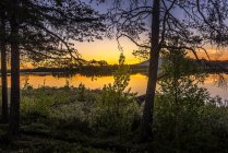 Північ сонця над озером в Арєплог, Швеція — стокове фото