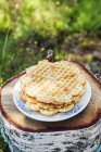 Stack of waffles outdoors, focus on foreground — Stock Photo