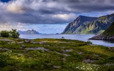 Montagne sopra il mare nell'arcipelago di Lofoten in Norvegia — Foto stock