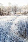 Vista panorámica del camino a través del campo en invierno en Sodermanland, Suecia - foto de stock