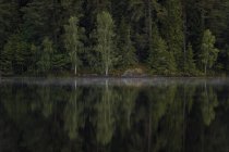Живописный вид на реку и деревья в Ostergotland, Швеция — стоковое фото