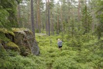 Vue arrière de la femme marchant dans la forêt à Ostergotland, Suède — Photo de stock