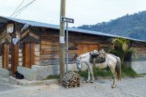 Cavalo ao lado de pacote de paus em San Juan, Guatemala — Fotografia de Stock
