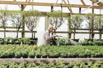 Giardino centro lavoratori irrigazione giardino, focus selettivo — Foto stock