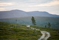 Strada rurale attraverso il campo in Lapponia, Svezia — Foto stock