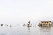 Tocones de árboles y casa en el lago Atitilan en Guatemala - foto de stock