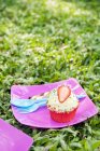Strawberry cupcake at birthday picnic, soft focus background — Stock Photo