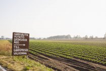 Sign and field of crops in Lorby, Sweden — Stock Photo