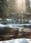 Waldfluss im Winter in Vantaa, Finnland — Stockfoto