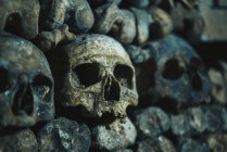 Людські черепа в катакомбних в Парижі, Франція — стокове фото