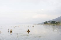 Barca a remi uomo sul lago Atitilan in Guatemala — Foto stock