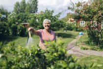 Mujer mayor riego jardín con manguera - foto de stock