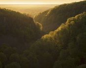 Forest covered hills at sunset in Soderasen National Park, Sweden — Stock Photo