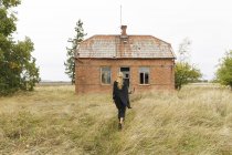 Женщина идет к заброшенному дому — стоковое фото