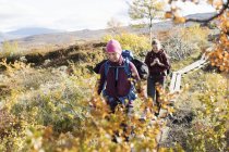 Women hiking, selective focus — Stock Photo