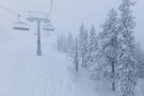 Elevador de esqui por árvores cobertas de neve — Fotografia de Stock